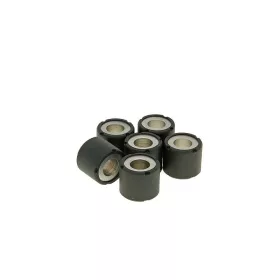 Variátor görgő szett 19x17 – 13,00g (6 db)