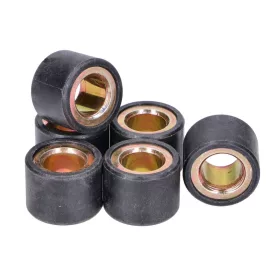 Variátor görgő szett 20x15 – 16,50g (6 db)