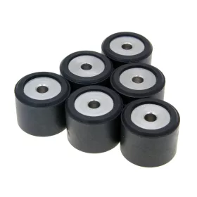 Polini variátor görgő szett 20.6x17mm - 10.3g