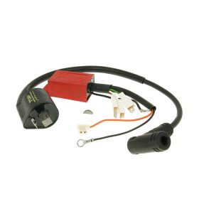   CDI egység, gyújtótekercs Top Performances digitális - Piaggio Gilera