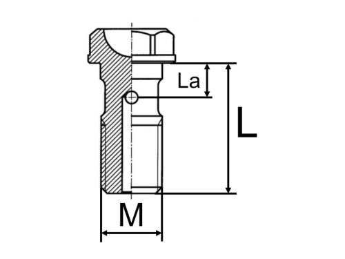Fék tömlő bendzsó csavar M10x1.25 - AJP, Brembo fék calipers