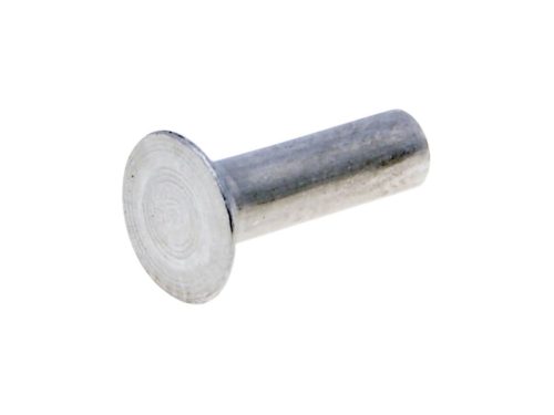 3x10mm szegecs