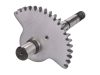 Kickstarter tengely Simson S50, Schwalbe, Star, Sperber, Spatz, Habicht, Sperber, Spatz, Habicht, Simson S50, Schwalbe, Star, Sperber, Spatz, Habicht