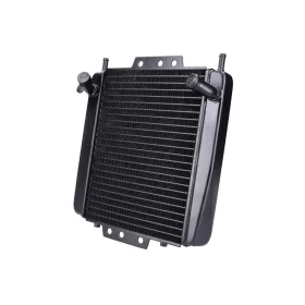 Hűtőszekrény Piaggio MP3 125-500, Gilera Fuoco számára