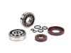 Csapágykészlet olajtömítés készlet a forgattyús tengelyhez BGM Original Vespa V50, PV125, ET3, PK50S, PK80S, PK125S 1x 6303 + 1x NU204