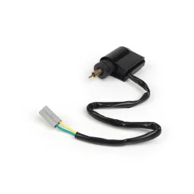   Elektromos fojtószelep DELLORTO / ARRECHE karburátor Ř 22mm-es Piaggio dugóig