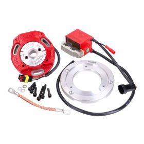   Belső rotoros gyújtás Italkit Selettra analóg Gilera Runner, Piaggio Skipper, Hexagon, Italjet Dragster 125, 180ccm 2 ütemű motorokhoz.