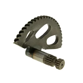 Berugóracsni - Piaggio