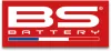 BS BATTERY kis matrica francia zászló - 50 db