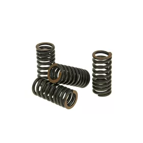   Szelep rugó szett Malossi Titanium - Aprilia, Piaggio, Vespa, Gilera V4