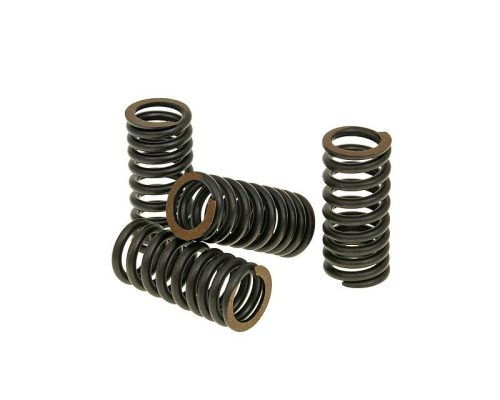 Szelep rugó szett Malossi Titanium - Aprilia, Piaggio, Vespa, Gilera V4
