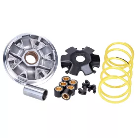   Variomatic Malossi Multivar a Malaguti 100 Ciak, F12 Phantom számára