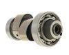 Vezérműtengely Malossi Power Cam - Aprilia, Benelli, Italjet, MBK, Yamaha