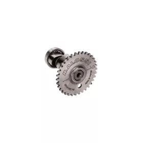   Malossi Power Cam camshaft Malossi Power Cam Baotian, Kymco GY6 50cc 4T-hez
