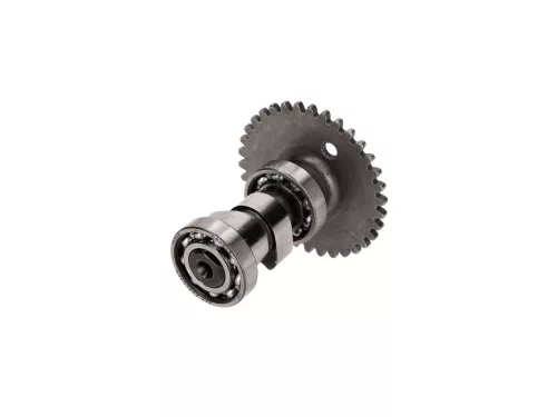 Malossi Power Cam camshaft Malossi Power Cam Baotian, Kymco GY6 50cc 4T-hez