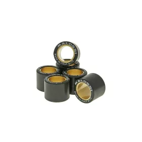 Malossi HT variátor görgő szett 19x15.5mm - 6.1g