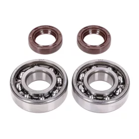   Naraku SKF / FKM Premium C4 Premium C4 fém ketrec a Peugeot vízszintes tengelycsapágy készlethez