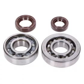   Naraku SKF, FKM Premium C3, C4 poliamid Naraku SKF, FKM Premium C3, C4 Poliamid csapágykészlet a Peugeot E2-hez