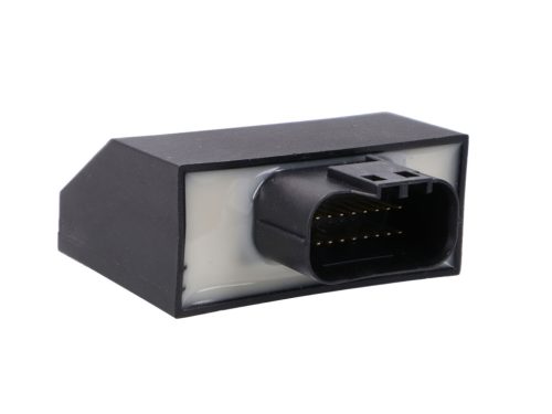 Naraku korlátlan ECU motorvezérlő egység - Generic Trigger, Beeline Euro4 2019-