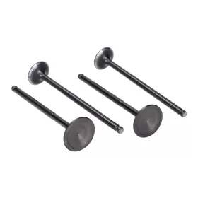   Naraku 19/22 szelepszett hengerfej Yamaha X-Max, YZF, WR 125 4V (YI-3 OHC motor) szelepszett Yamaha X-Max, YZF, WR 125 4V motorhoz.