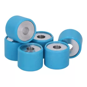 OEM eredeti variátor görgőszett 21x17 - 10.60g - 6db