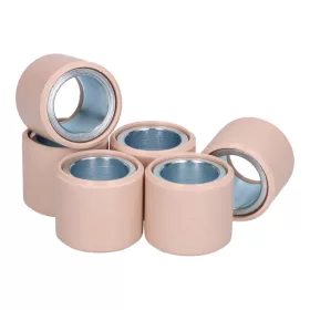   Variomatic súlyok OEM eredeti variomatic 25x22 - 28,00g - 6 darab