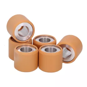 OEM eredeti variátor görgőszett 19x17 - 7.20g - 6db