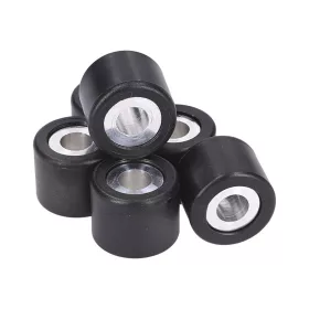 OEM eredeti variátor görgőszett 19x15.5 - 6.40g - 6db