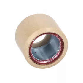   Variomatika súly OEM eredeti variomatic 21x17 - 14,00g - 1 db